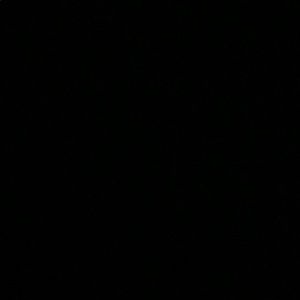 Meet your Posher, Allyson